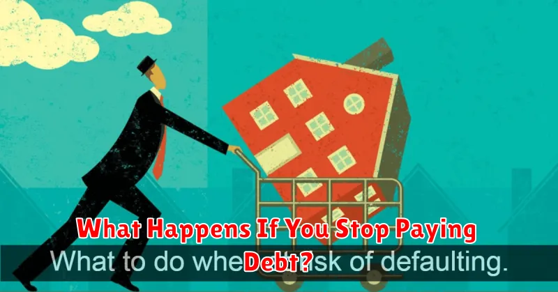 What Happens If You Stop Paying Debt?